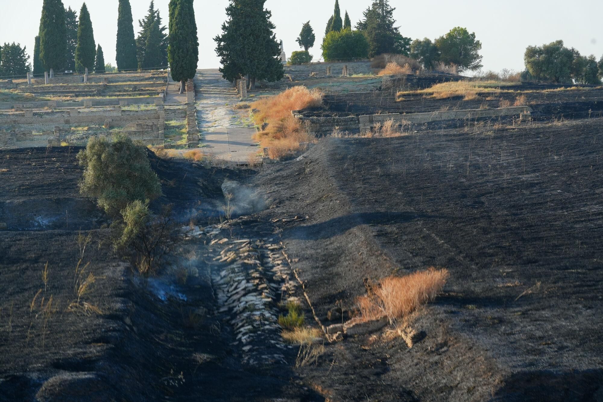 Imagen del incendio en el Conjunto Arqueológico de Itálica. A 8 de agosto de 2025 en Santiponce, Sevilla (Andalucía, España). El Consorcio provincial de Bomberos trabaja en un incendio declarado en el interior del recinto de Itálica, situado en el municipio de Santiponce (Sevilla). Según ha informado el Servicio de Emergencias 112 el fuego está teniendo lugar en la parte trasera de la calle Santo Domingo. 08 AGOSTO 2025 Francisco J. Olmo / Europa Press 08/08/2025. Francisco J. Olmo;category_code_new;