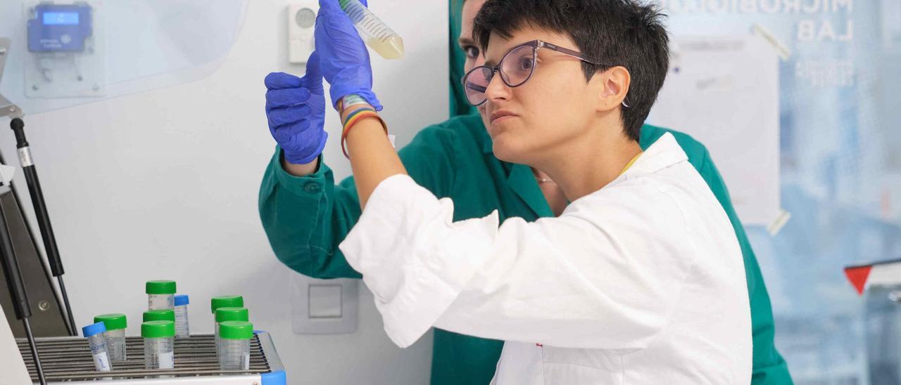 Una investigadora observa uno de sus trabajos en laboratorio.
