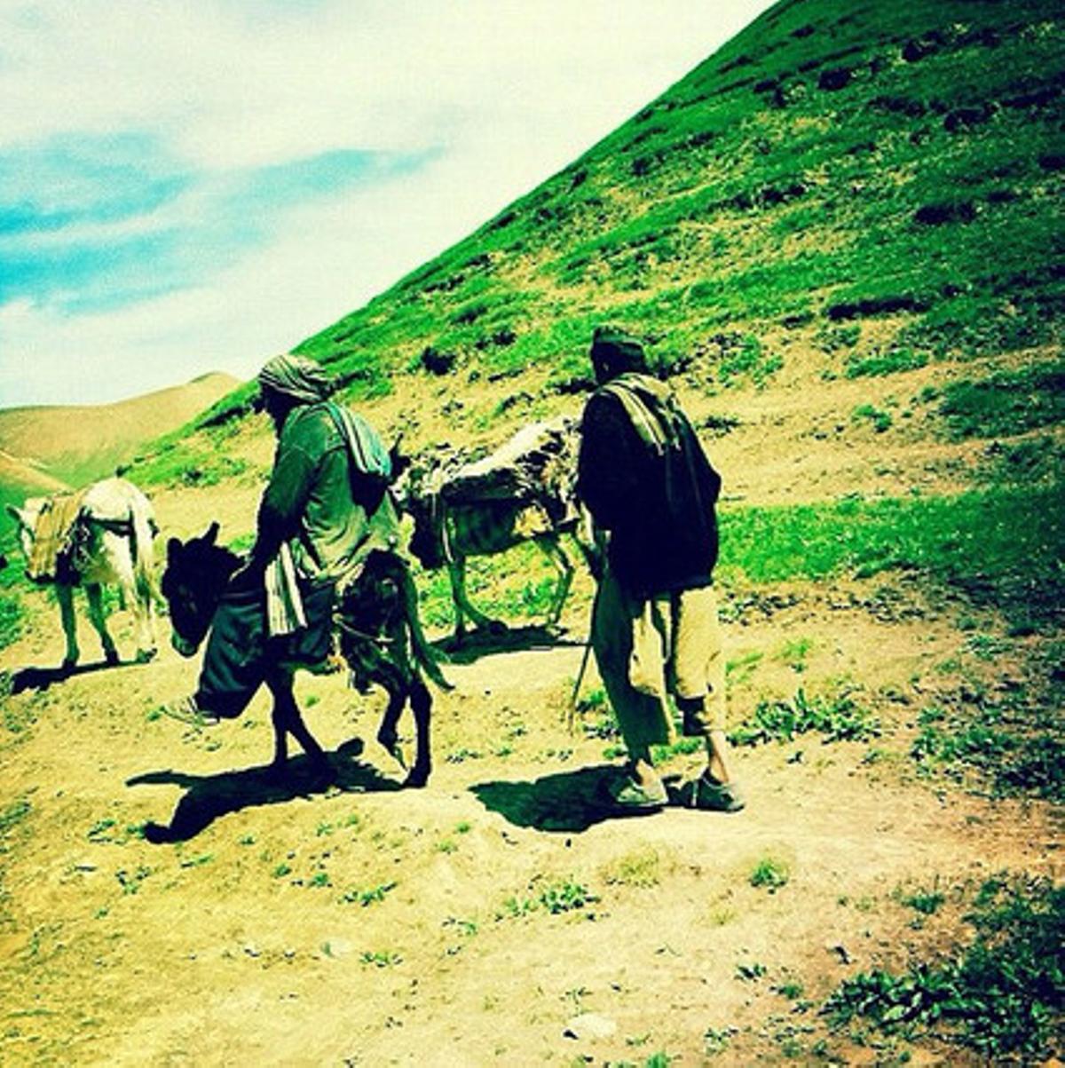 Estampa feudal. Pastores pastunes a lomos de un burro en las colinas del distrito de Muqur. La primavera también ha llegado a Afganistán. Estampa insólita. Con pastos verdes tras las primeras lluvias.