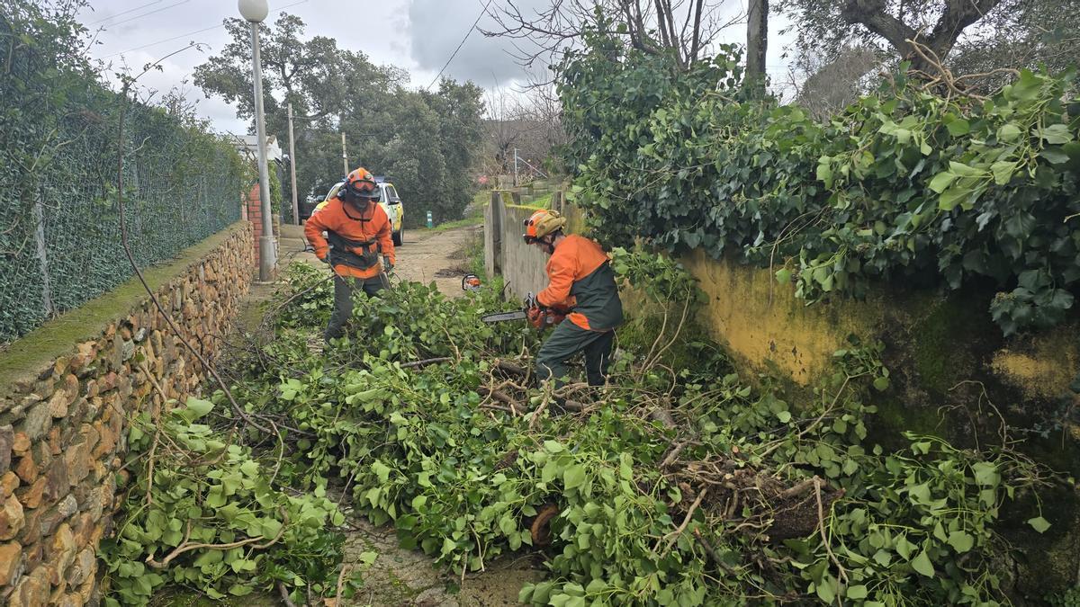 Vídeo | Efectivos de Infoex intervienen en 13 localidades para paliar daños materiales ocasionados por la borrasca