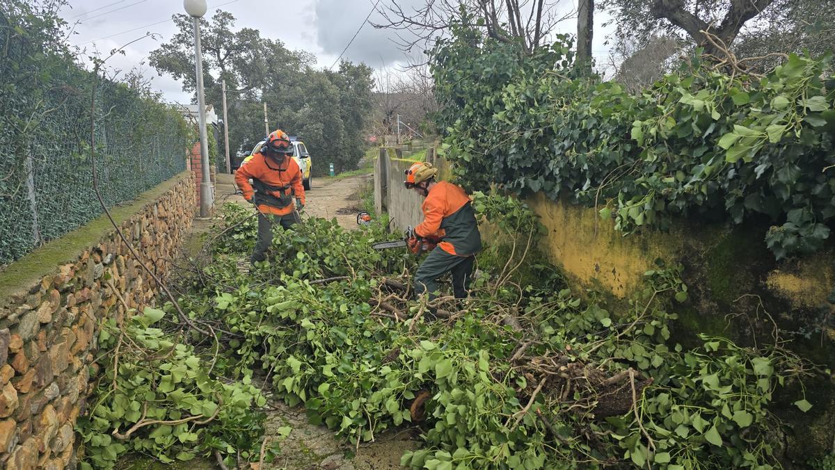 Efectivos del Infoex trabajan en Grimaldo.