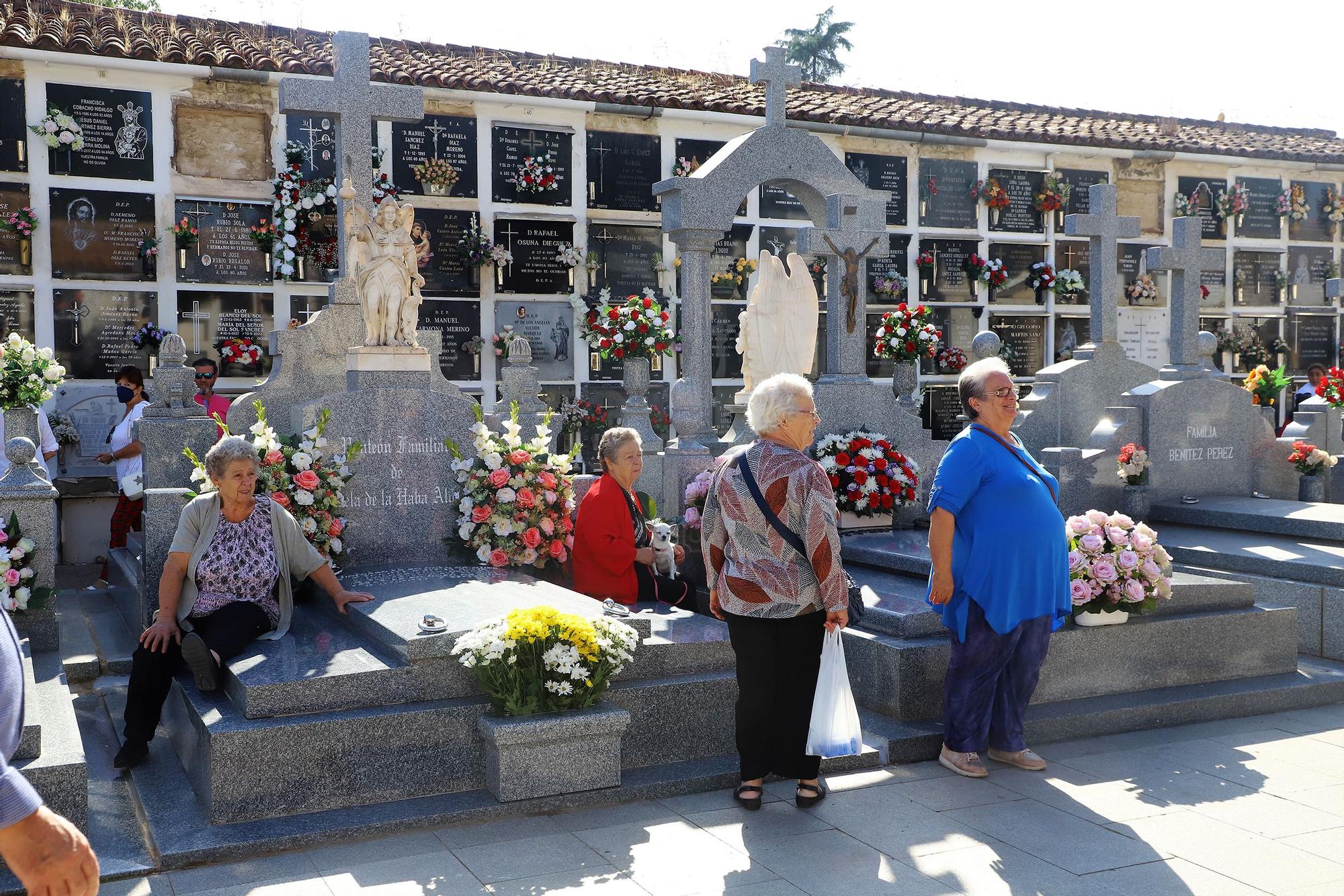 Los cementerios cordobeses cobran vida por el día de Todos los Santos