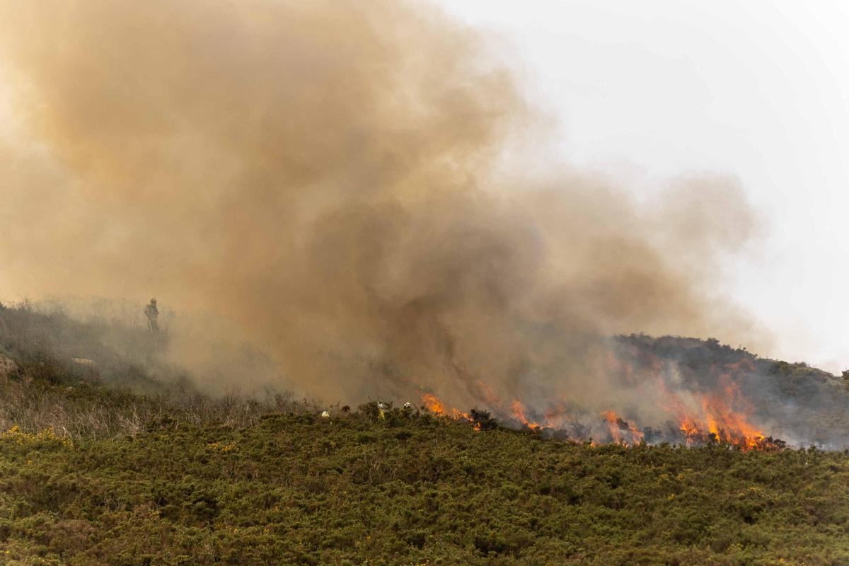 El fuego, un aliado en la prevención de las llamas: «Reduce la carga y nos da margen de seguridad