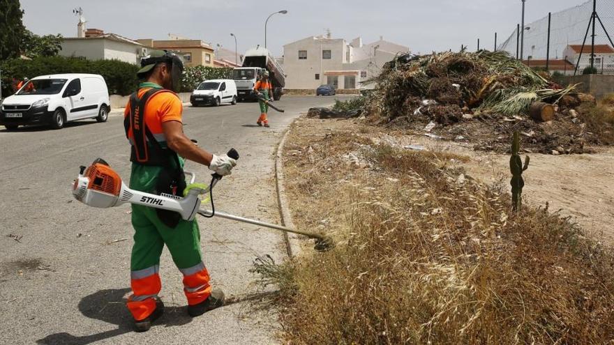 Plan de choque de limpieza de la empresa de limpieza en Torrevieja hace un año