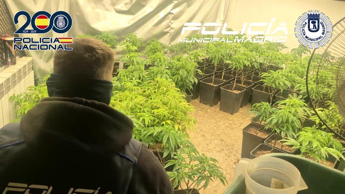 Agentes de la Policía en uno de los narcopisos desmantelados en Puente de Vallecas.