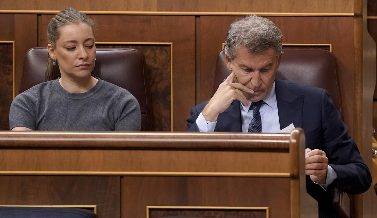 Comparecencia de Pedro Sánchez en el Congreso de los Diputados.