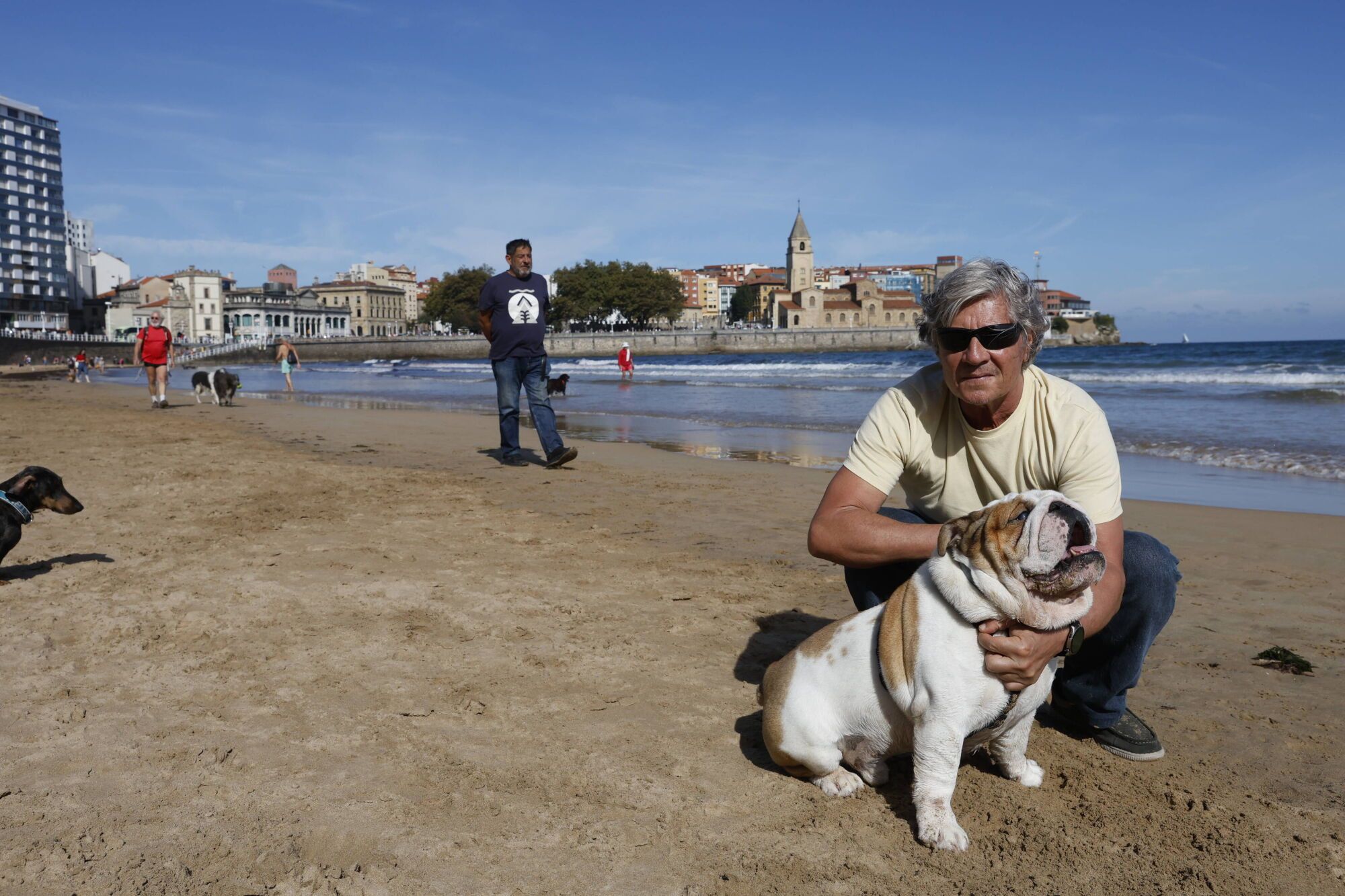 Regreso de los perros a la playa de San Lorenzo.