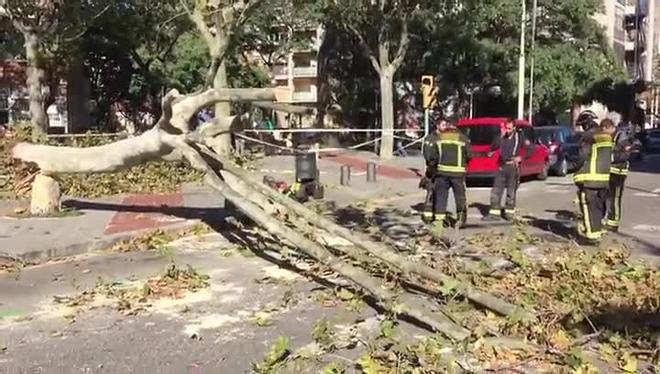 Forts vents a Barcelona