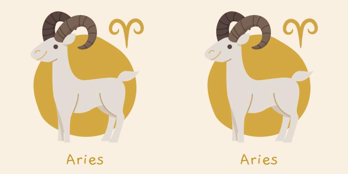 Signos Aries y Aries