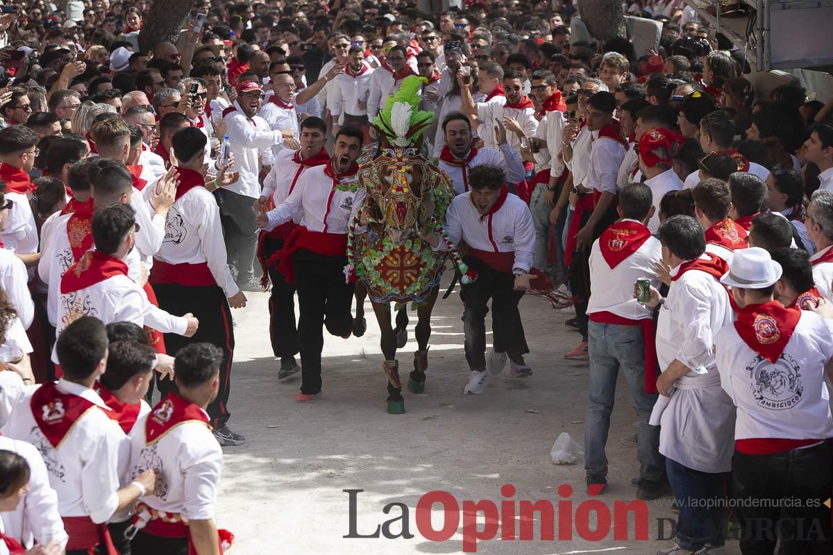 Así se ha vivido la carrera de los Caballos del Vino en Caravaca