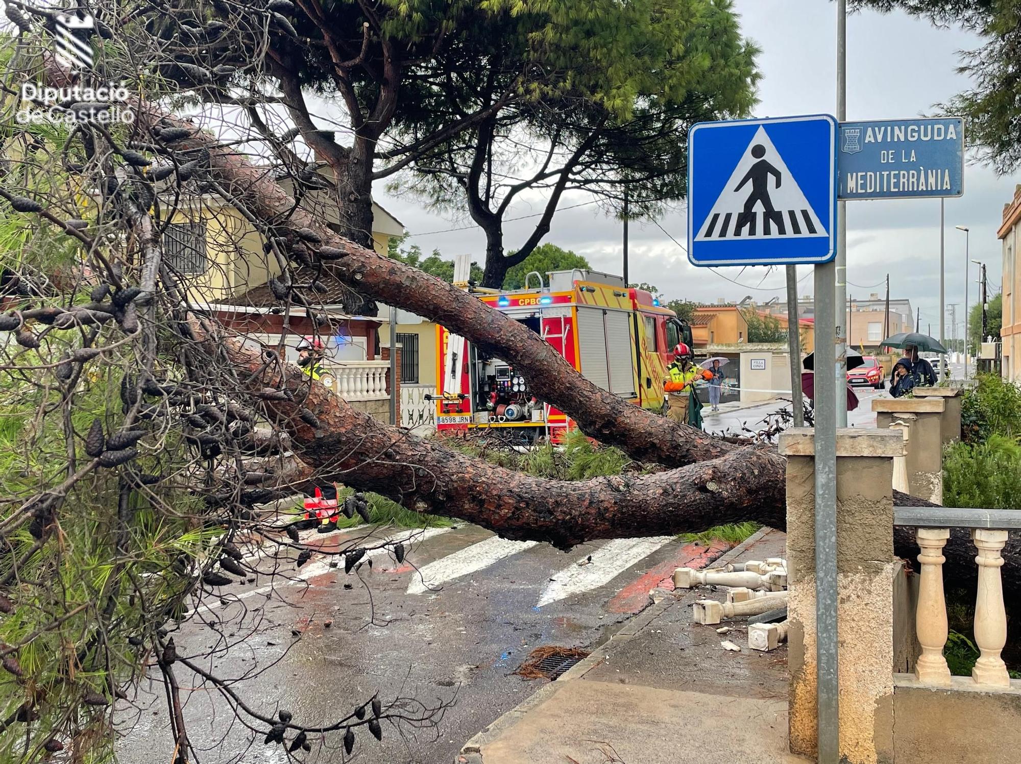 Galería: Las imágenes de las intervenciones de los bomberos duranta la dana