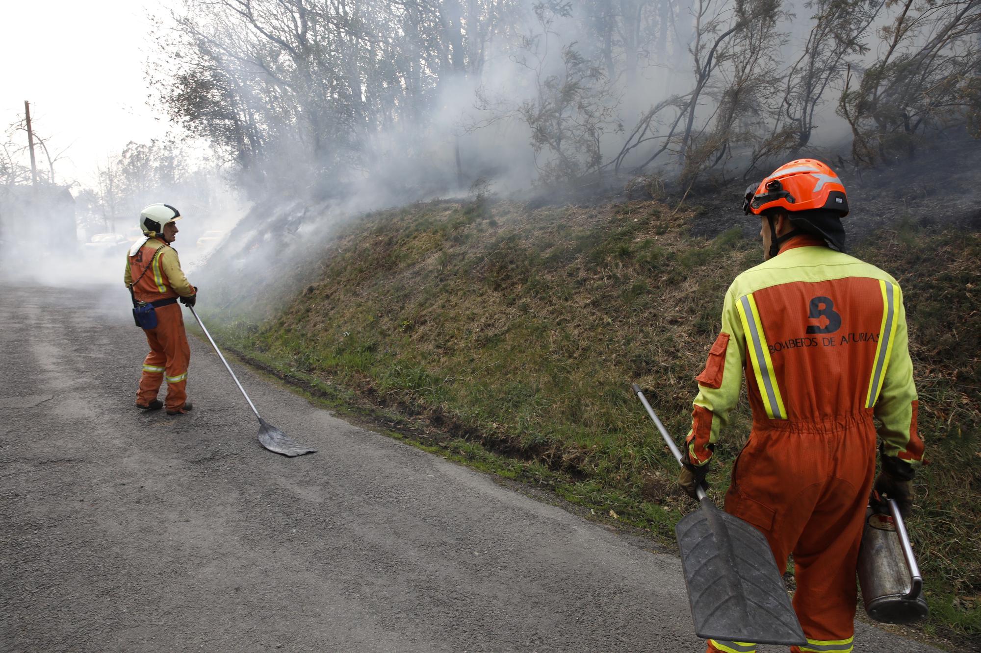 Bomberos de Asturias atrapando el fuego entre Naraval y Paredes