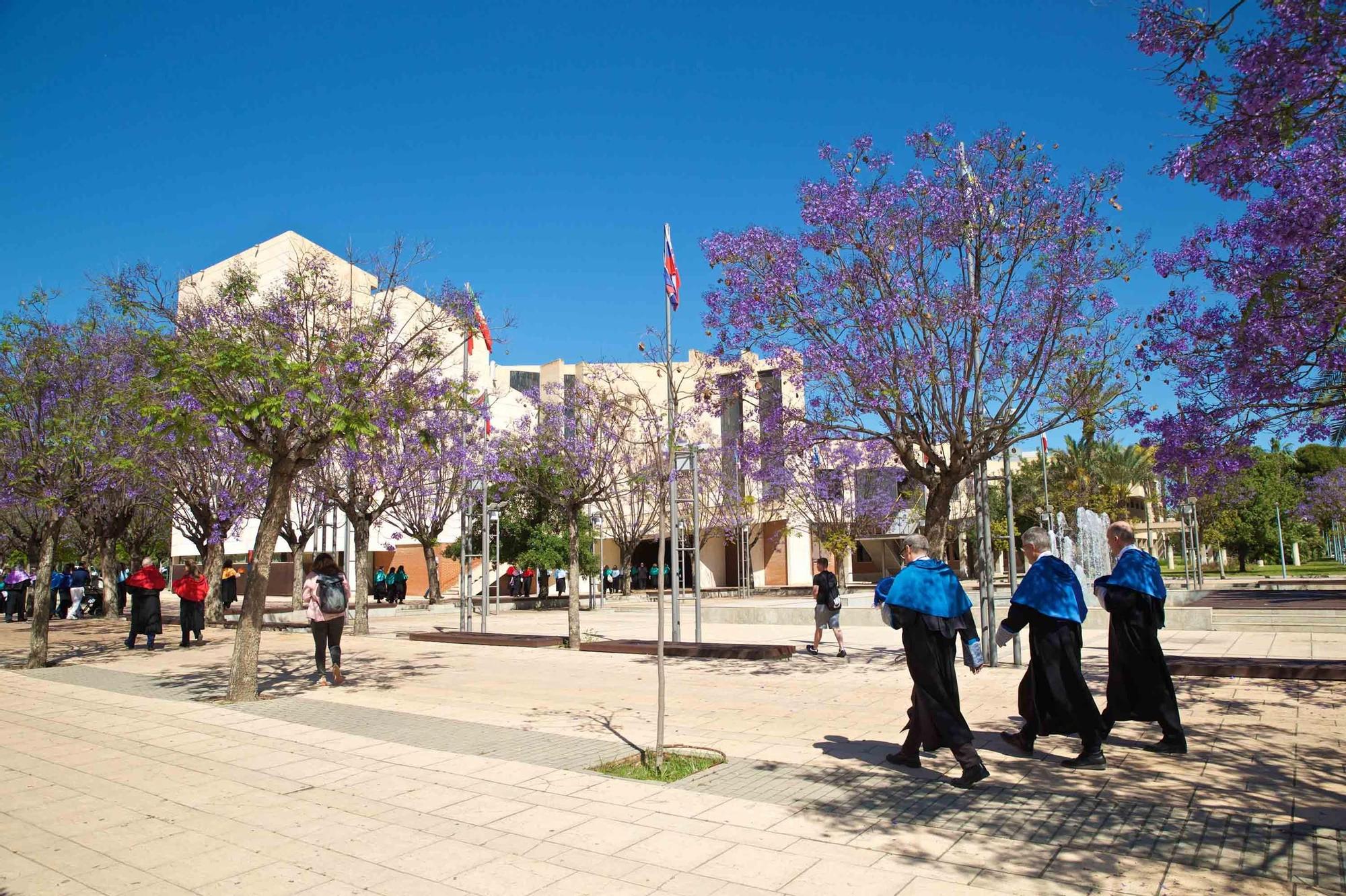 La Universidad de Alicante (UA) clausura el curso con la investidura de 125 nuevos doctores