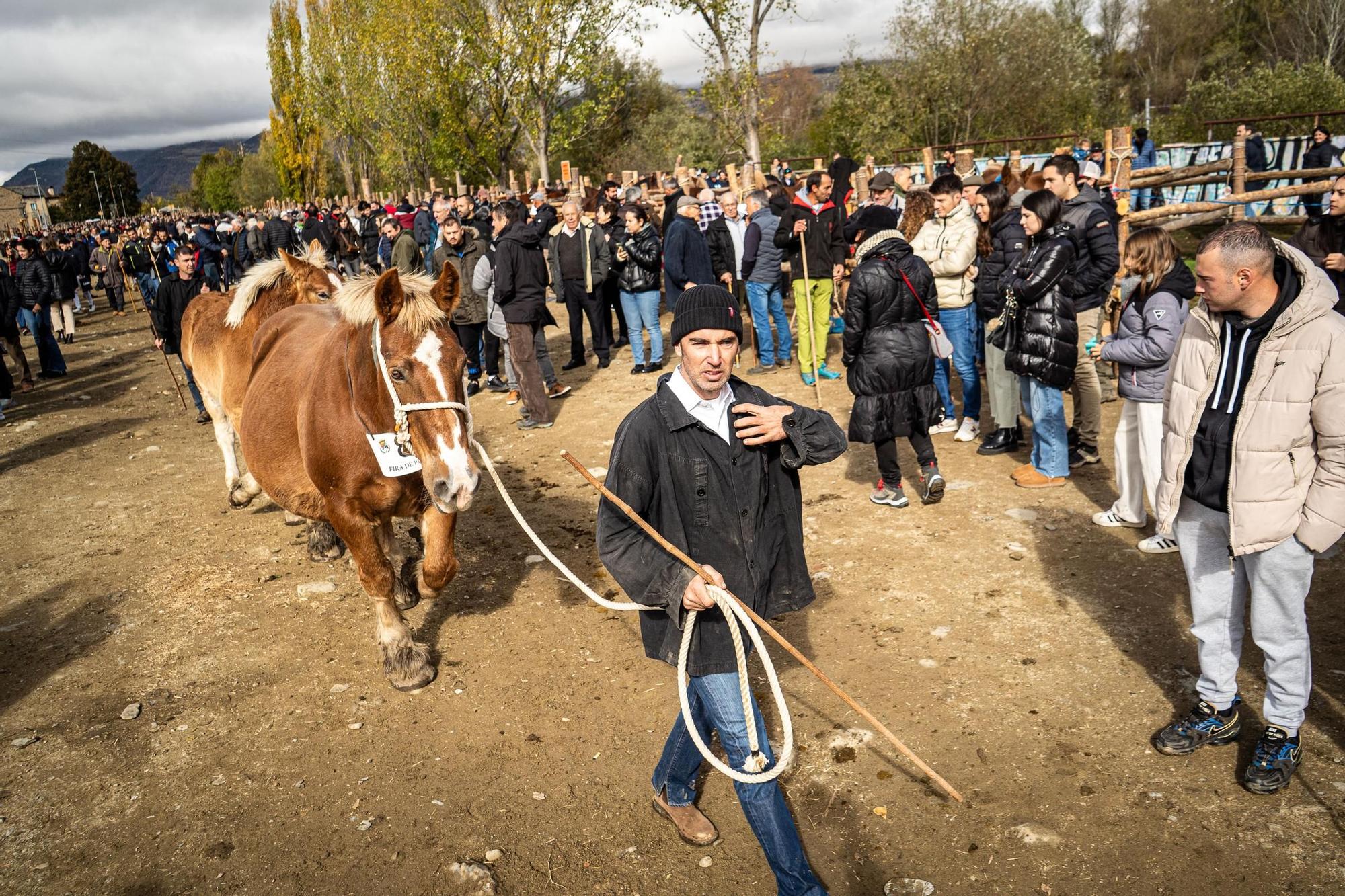 Totes les imatges de la Fira del Cavall de Puigcerdà