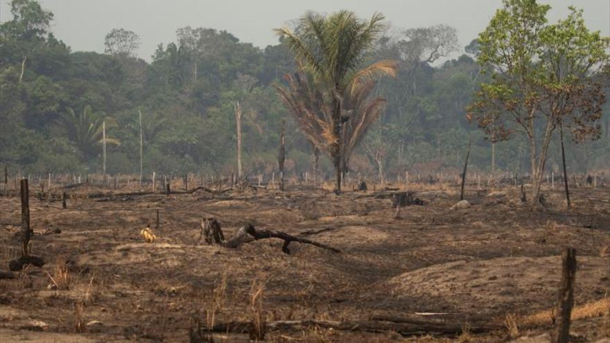 Brasil adopta nuevas medidas para controlar los incendios