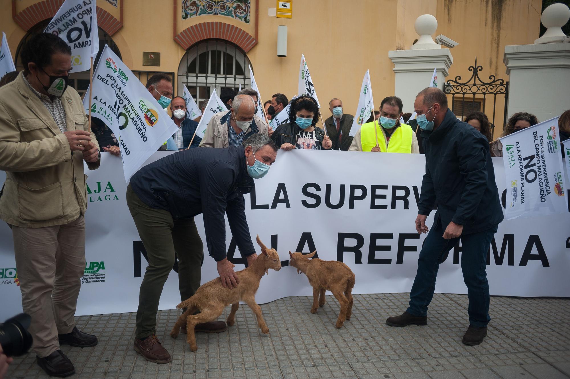 Los agricultores malagueños protestan contra la reforma del PAC