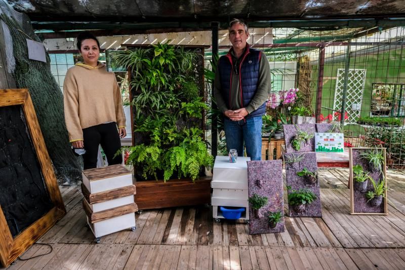 Ganador de Greenweekend Canarias, Pulmón Verde Canario