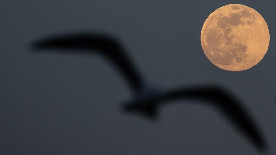 Las mejores imágenes de la superluna