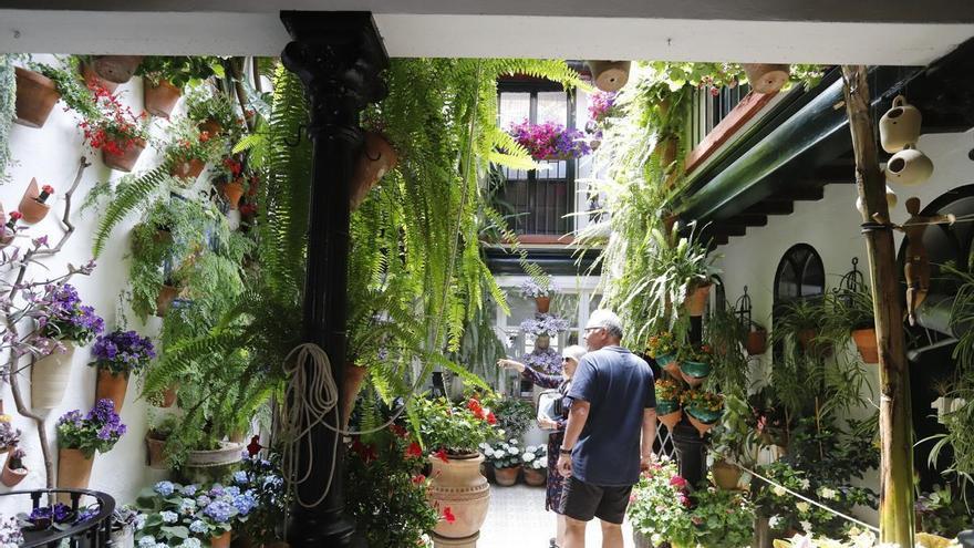 Hacemos Córdoba pide medidas “urgentes” para garantizar el apoyo a los patios tradicionales