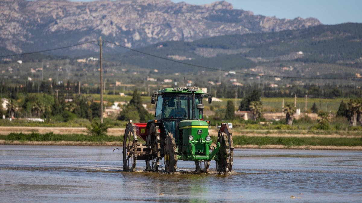 Un tractor prepara la siembra de arroz en una parcela del delta del Ebro, el año pasado.