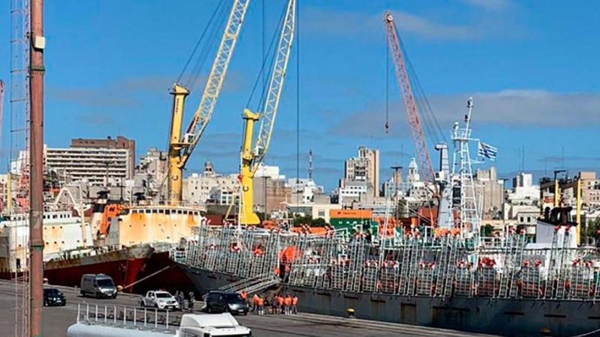 Desembarco de un cadáver en Montevideo desde un pesquero chino, en 2019