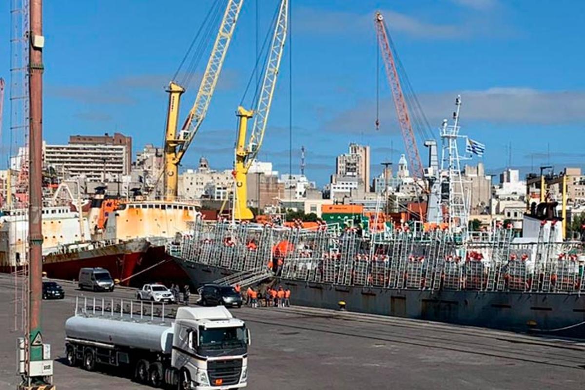 Desembarco de un cadáver en Montevideo desde un pesquero chino, en 2019