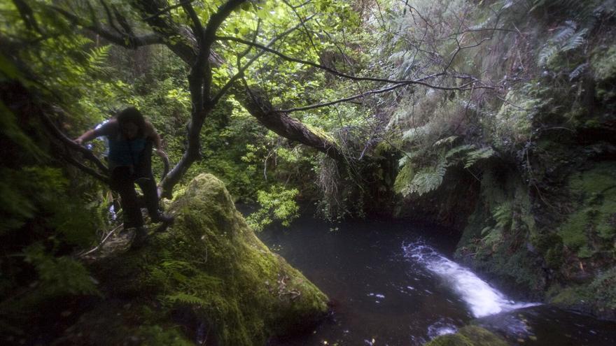 Rutas por Asturias: La Garganta del Escañorio, el último monumento natural que debe descubrirse