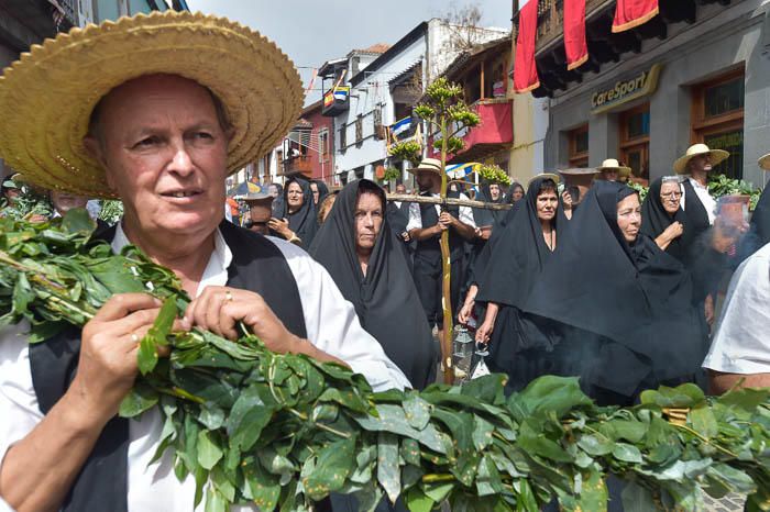 Carretas y grupos en la romería del Pino