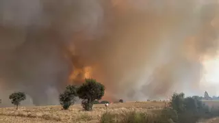 Así trabajan los servicios de extinción de la UME en el incendio de Molezuelas de la Carballeda (Zamora)