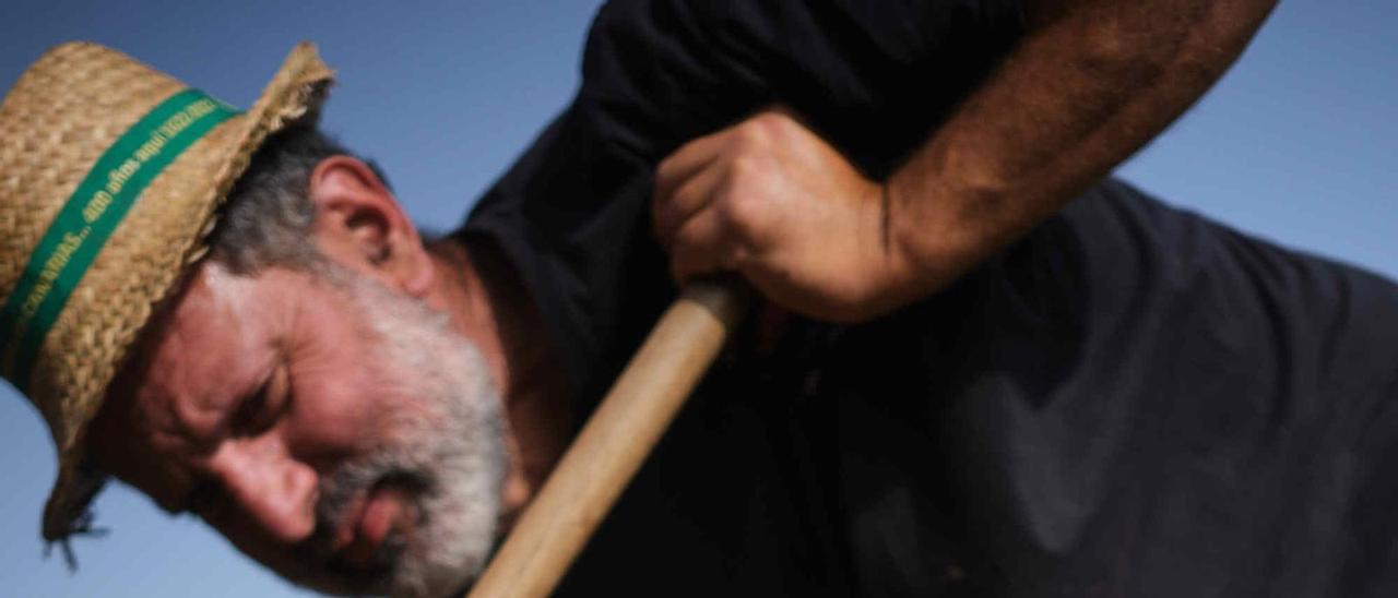 Crisis en el campo tinerfeño: «En otros países ser agricultor es ser una persona rica, aquí es como un castigo»