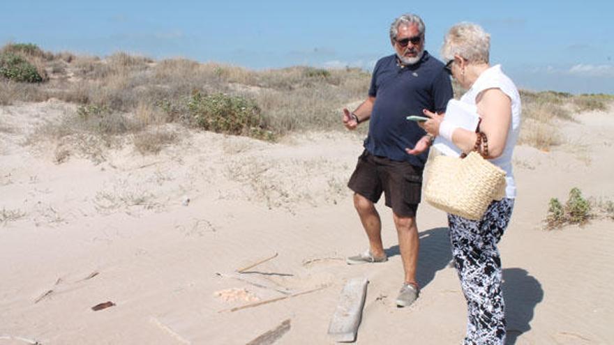 El nido de tortuga de Sueca es el cuarto documentado en Valencia en 200 años