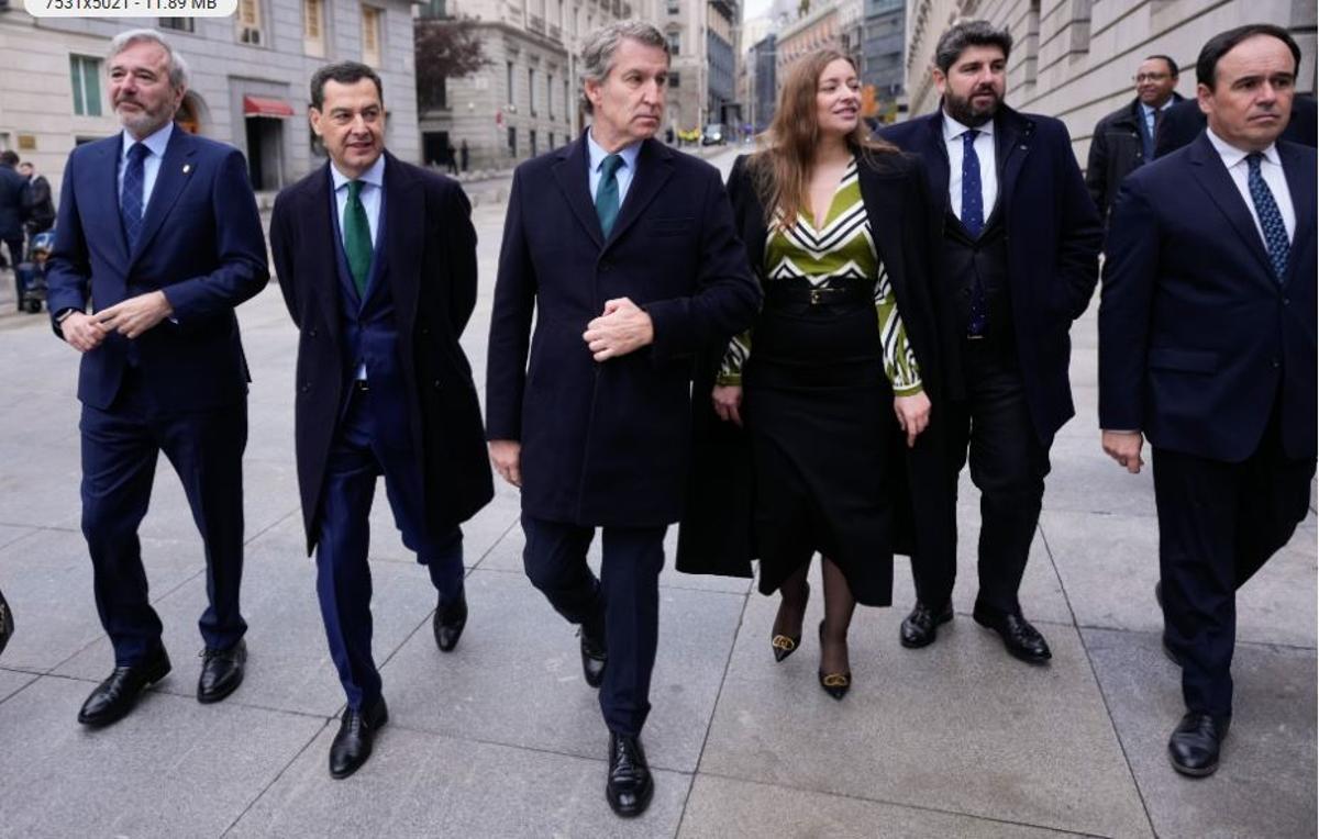 Azcón, Moreno Bonilla, Feijóo, Ester Muñoz, López Miras y Pérez Llorca, el pasado 6 de diciembre en Madrid.