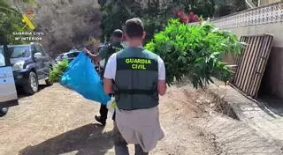 Venden marihuana desde una casa en Gran Canaria