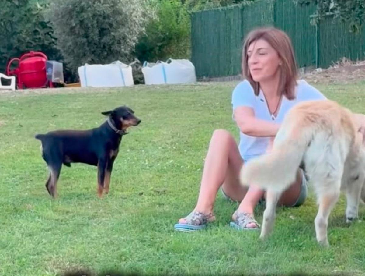 La Xunta busca el 'me gusta' en Facebook, Instagram y Tiktok
