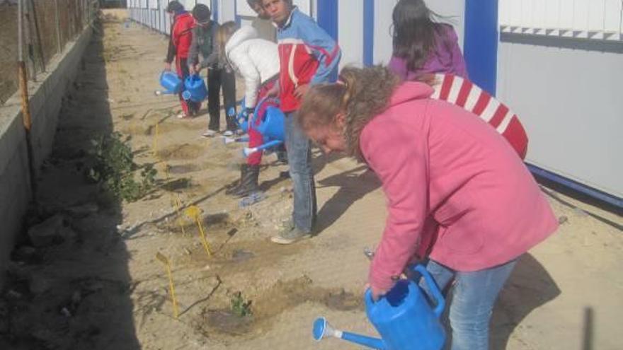 Los estudiantes del instituto aprenden a cultivar hortalizas típicas de la Vega Baja