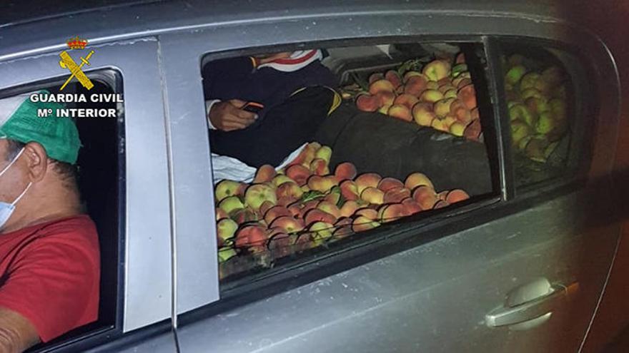 Detenidos tras ser pillados con 600 kilos de melocotones robados en el coche