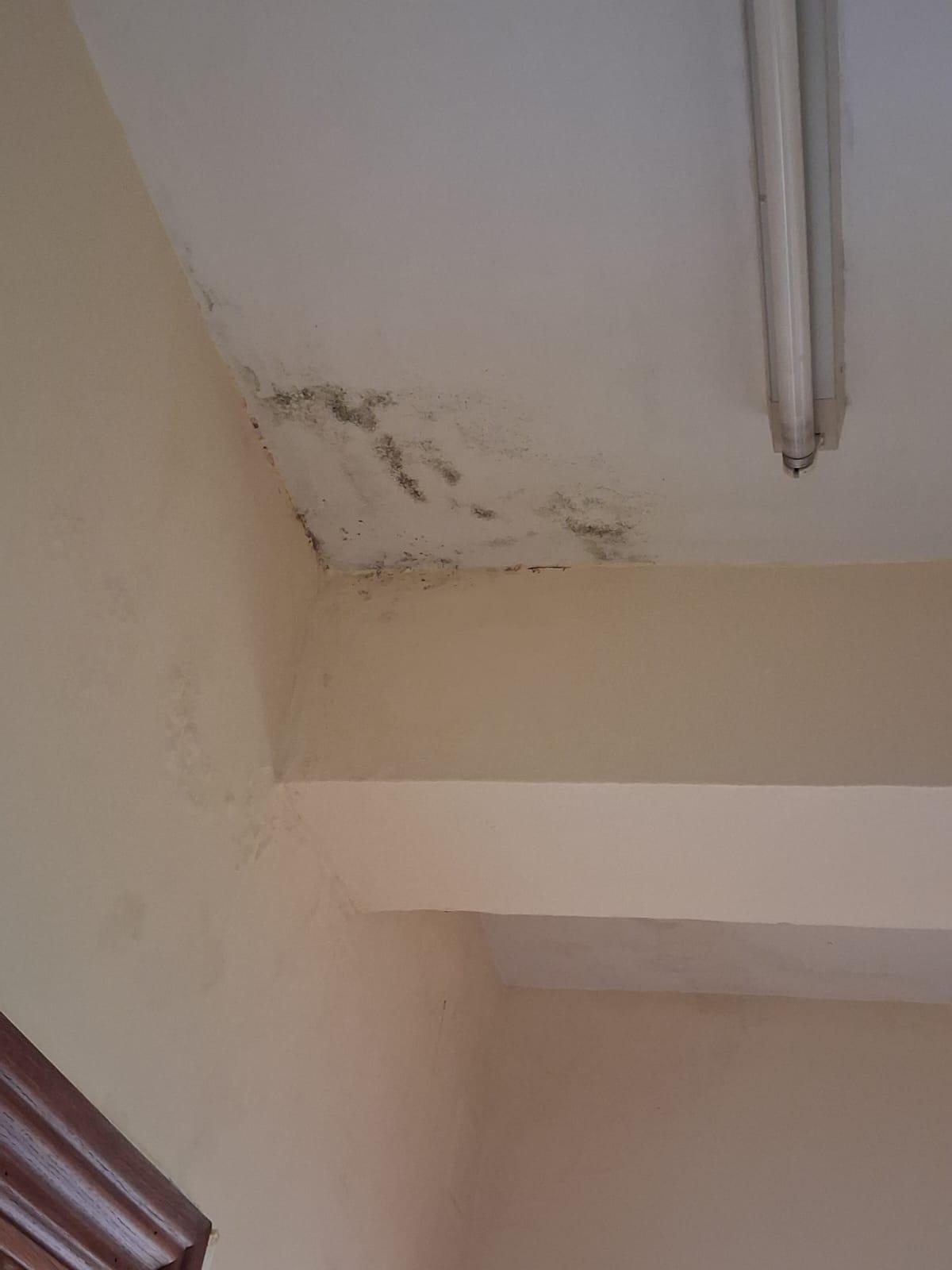 Humedades en el techo.