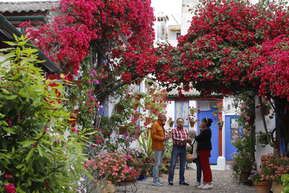 Patios de Córdoba: Marroquíes 6