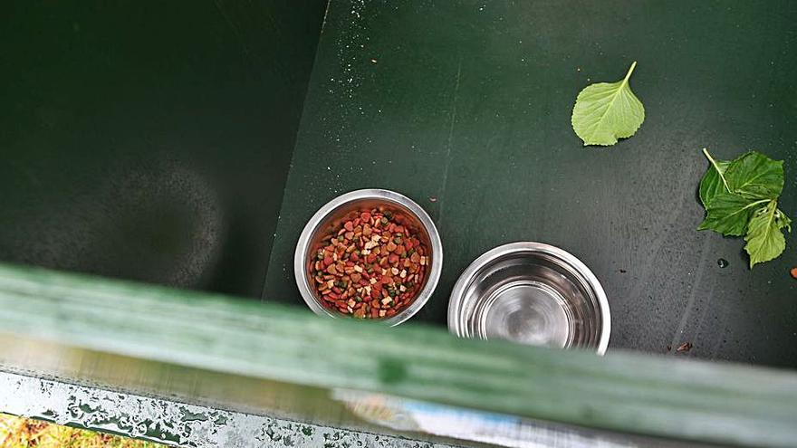 Interior de una caseta municipal para gatos. |   // CARLOS PARDELLAS