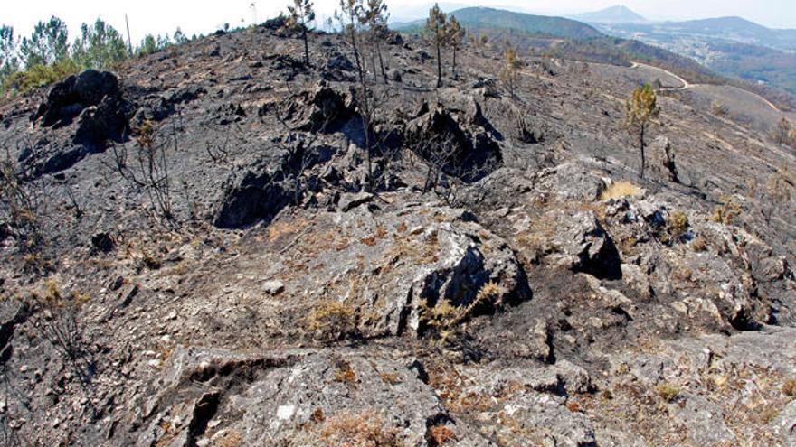 El fuego de Oia arrasó en 2013 1.800 hectáreas.//Marta G.Brea