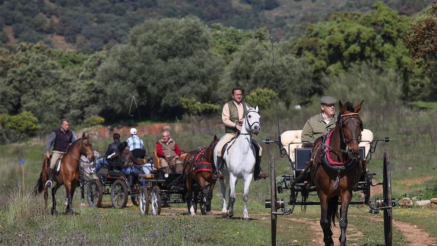 Córdoba podría contar con el primer parque periurbano ecuestre de España