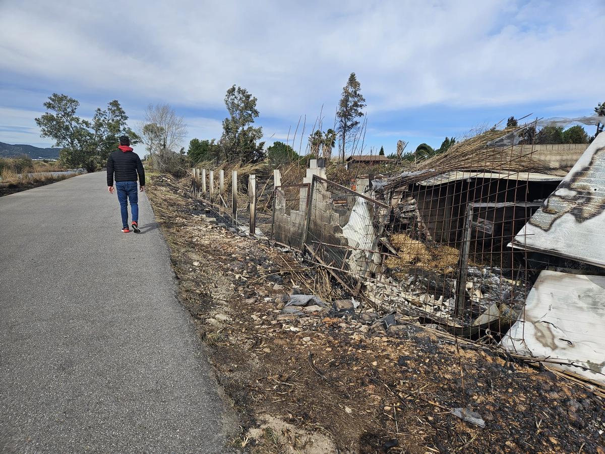 Parcelas y recinto con caballos calcinado tras el incendio del viernes.