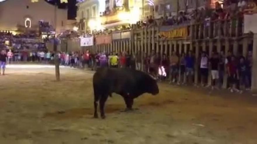 Cogidas graves en los embolados de Albalat y Sollana