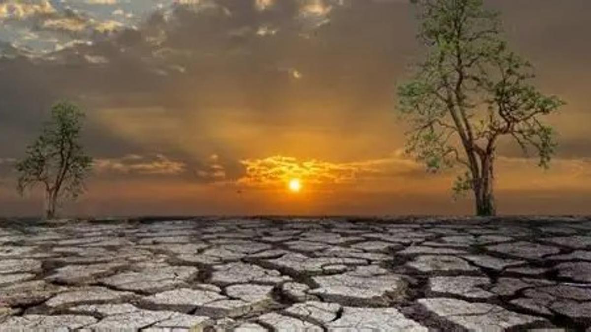 Una imagen vale más que mil palabras.