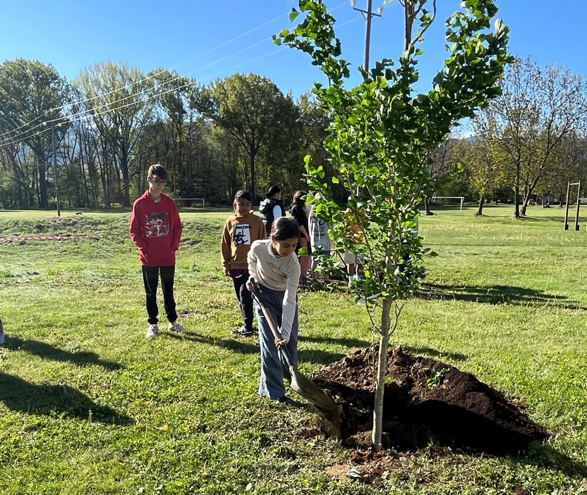 Estudiants plantant el seu arbre