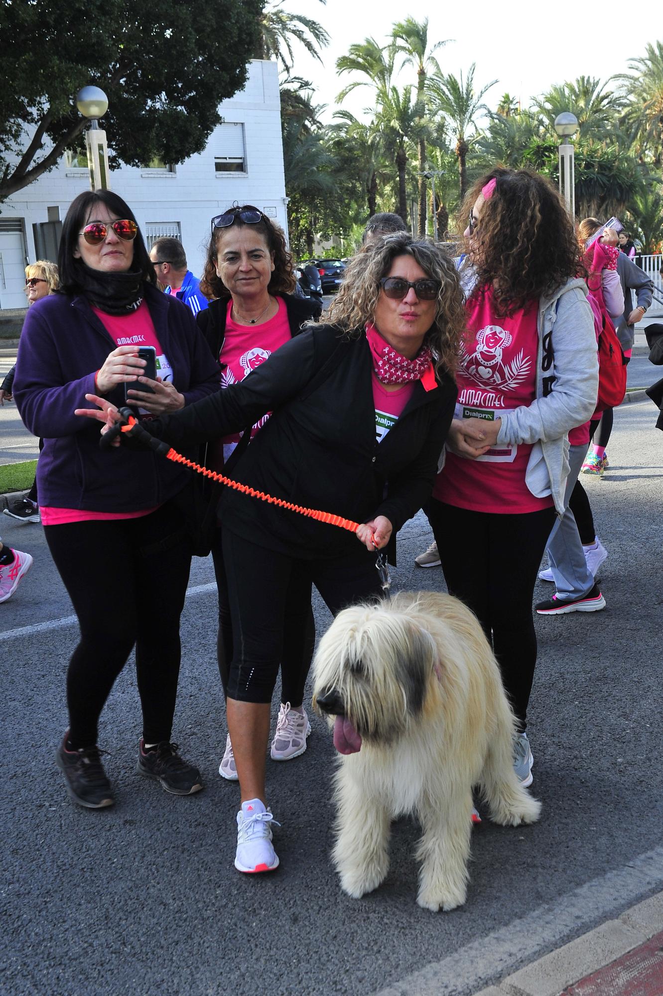 Más de 8.000 solidarios con el cáncer de mama en Elche