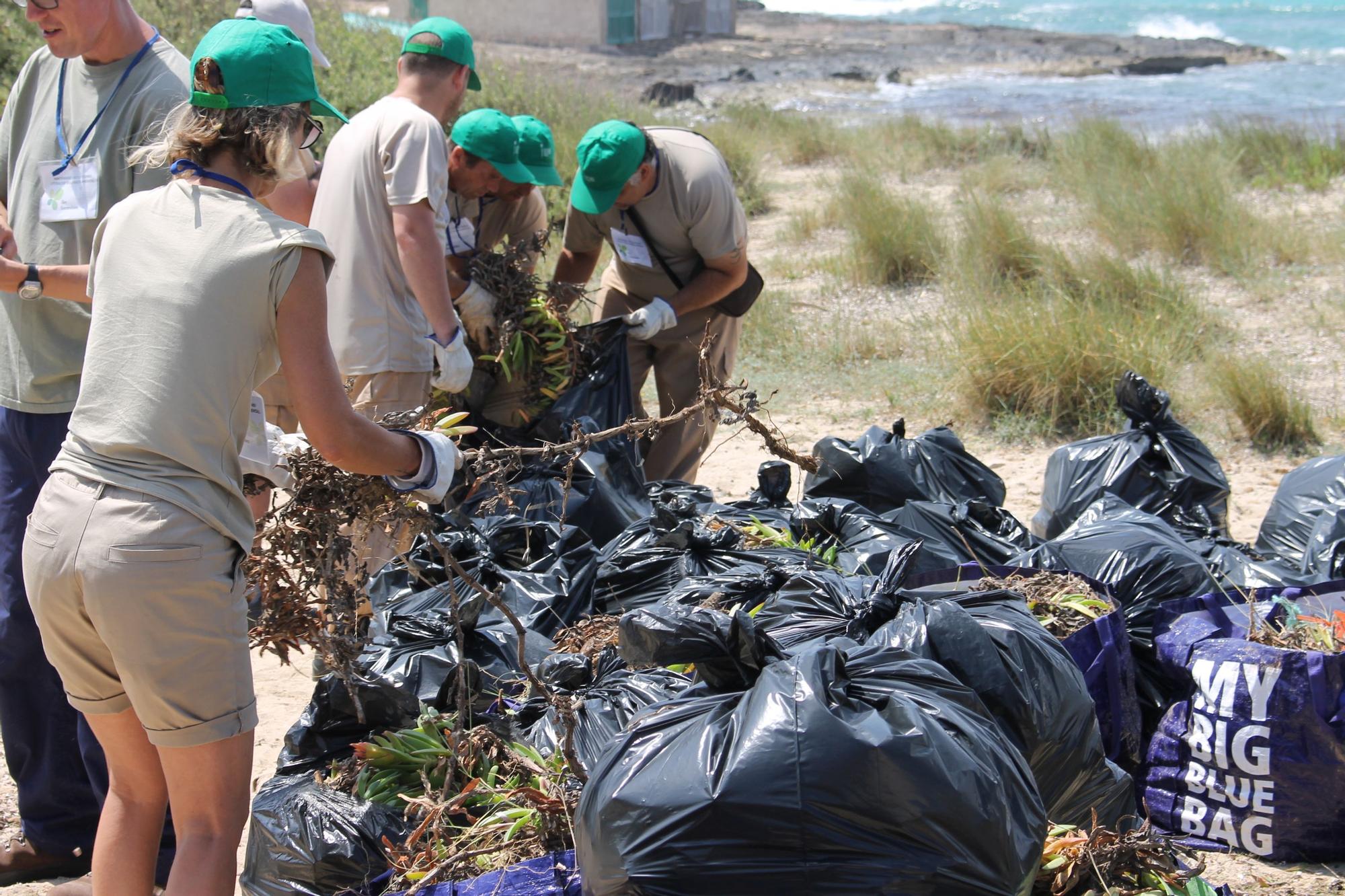 La recogida de residuos de las playas tendrá lugar este sábado