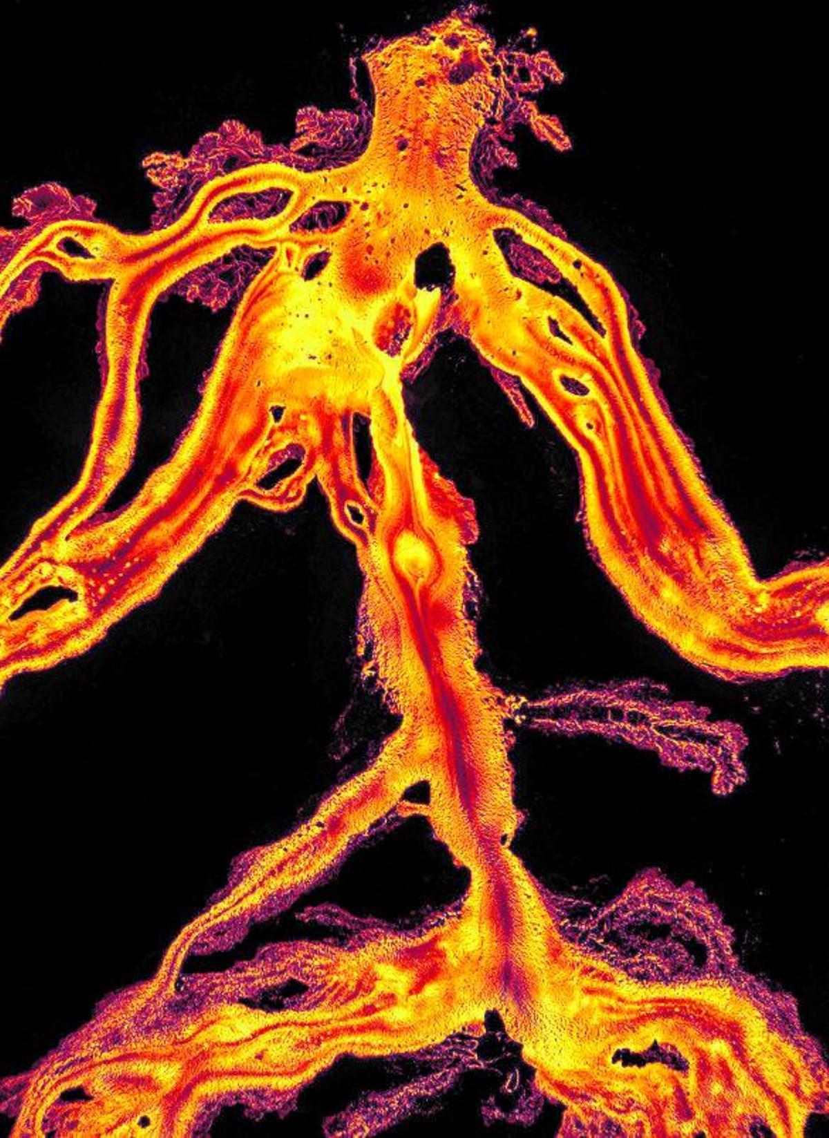 Las coladas, desde un dron, adquieren forma humanoide. | | I LOVE THE WORLD