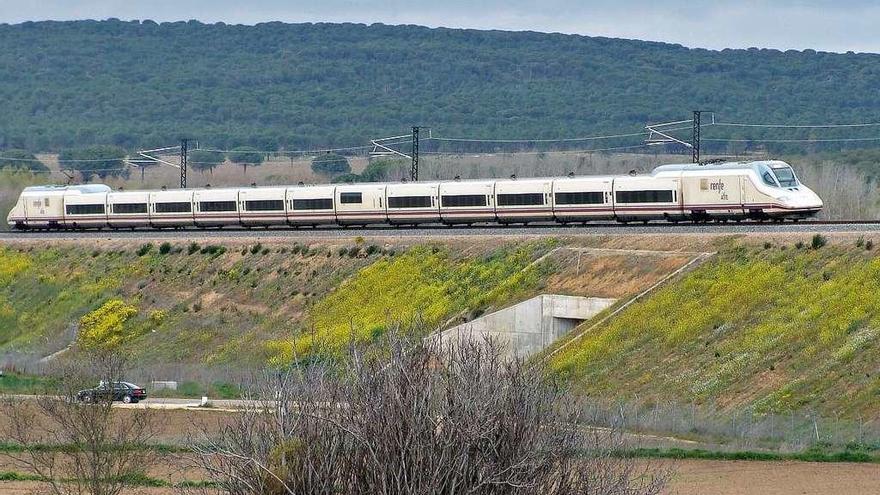 Un tren AVE circula por la localidad de Peleagonzalo.