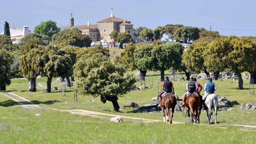 La dehesa de Arroyo de la Luz, declarada Parque Periurbano de Conservación y Ocio